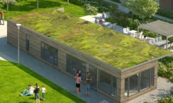 Riksbyggen får uppdrag att sköta gröna tak i Göteborg