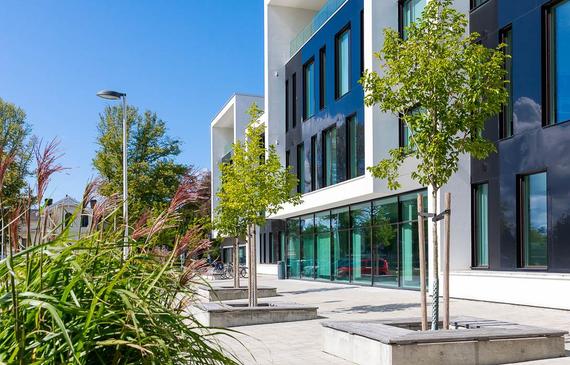 Hedvig Möllers gata 12