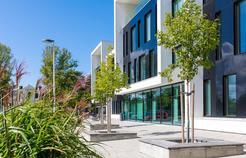 Hedvig Möllers gata 12