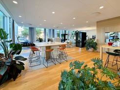 Theres Svenssons gata 13