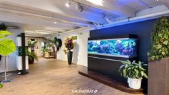 Victor Hasselblads gata 25